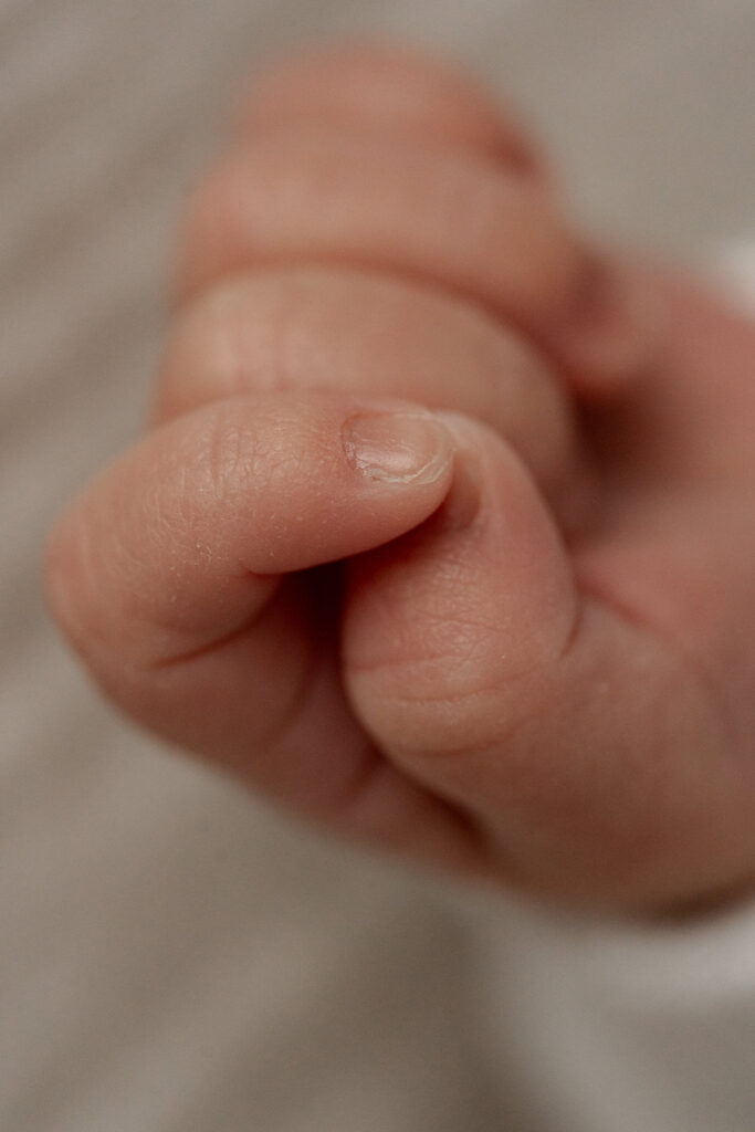 Babyfinger Detailbilder Trier